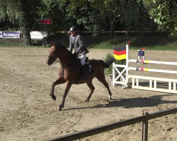 Reitturnier Walldorf/Winterheck 2019