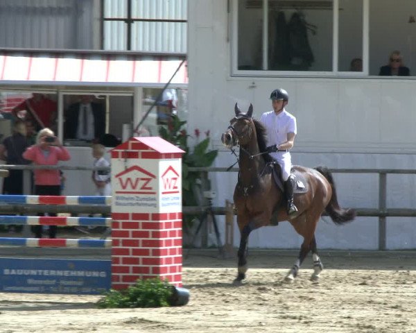 Reitturnier Albersloh 2019