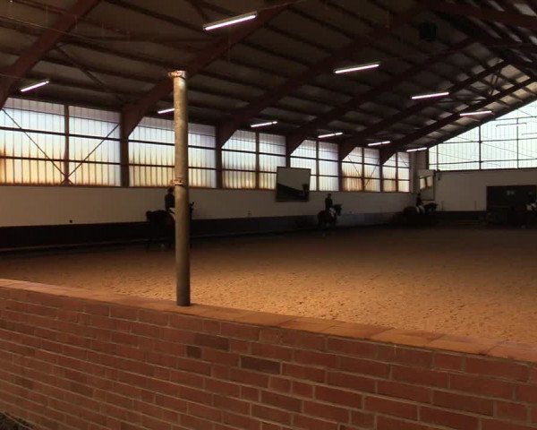 Reitturnier Albersloh 2019