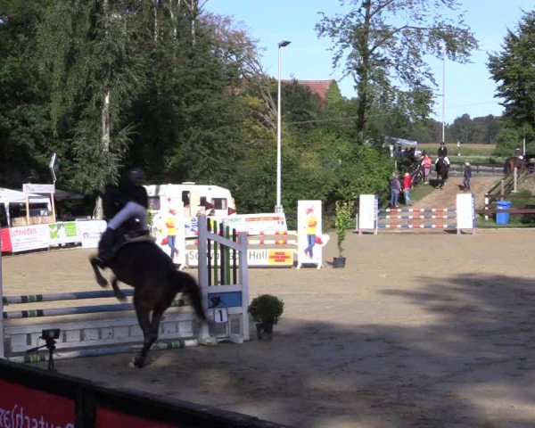 Reitturnier Buchenhof-Ibbenbüren 2019