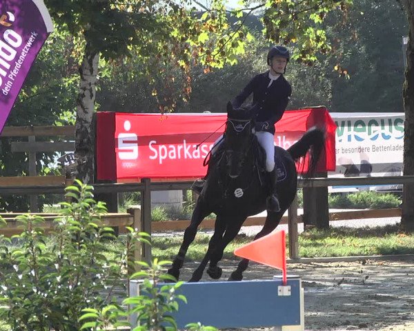 Reitturnier Walldorf/Winterheck 2019