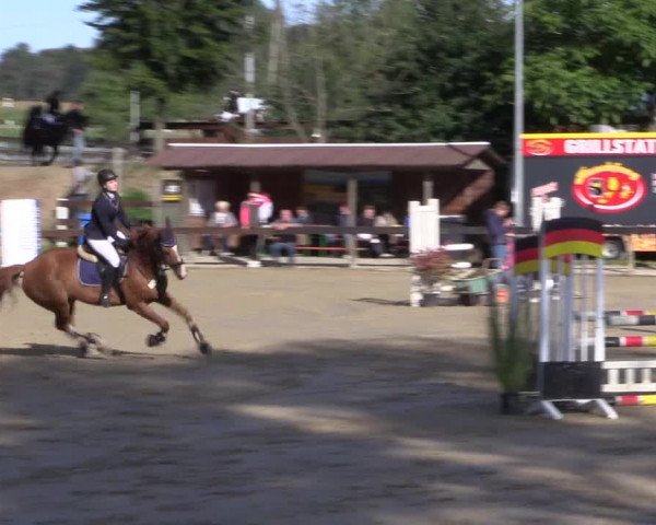 Reitturnier Buchenhof-Ibbenbüren 2019