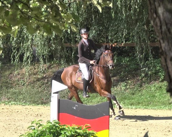 Reitturnier Walldorf/Winterheck 2019