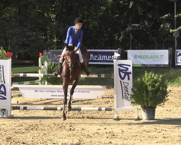 Reitturnier Walldorf/Winterheck 2019