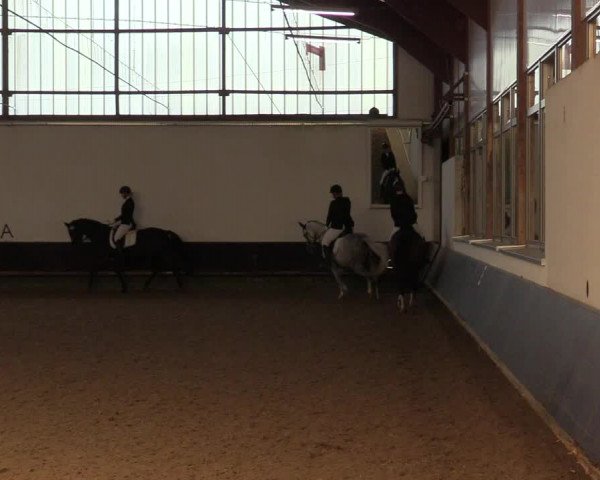Reitturnier Albersloh 2019