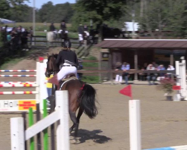 Reitturnier Buchenhof-Ibbenbüren 2019