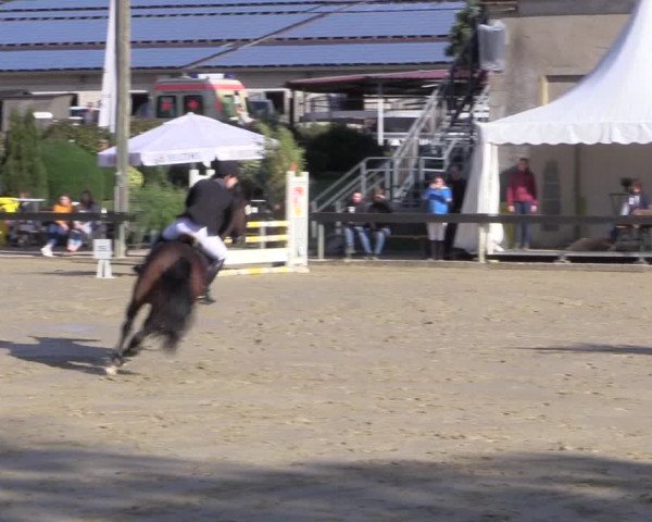 Reitturnier Buchenhof-Ibbenbüren 2019