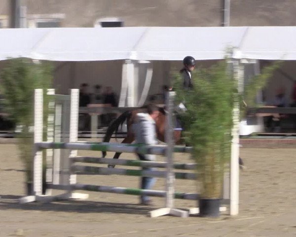 Reitturnier Buchenhof-Ibbenbüren 2019