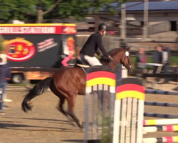 Reitturnier Buchenhof-Ibbenbüren 2019