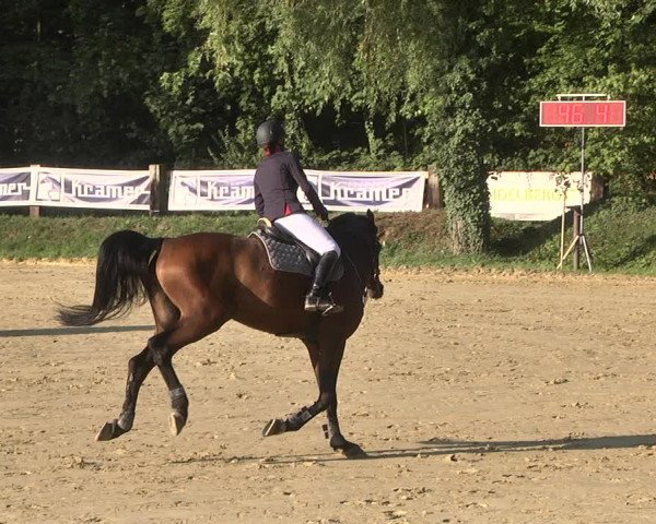 Reitturnier Walldorf/Winterheck 2019
