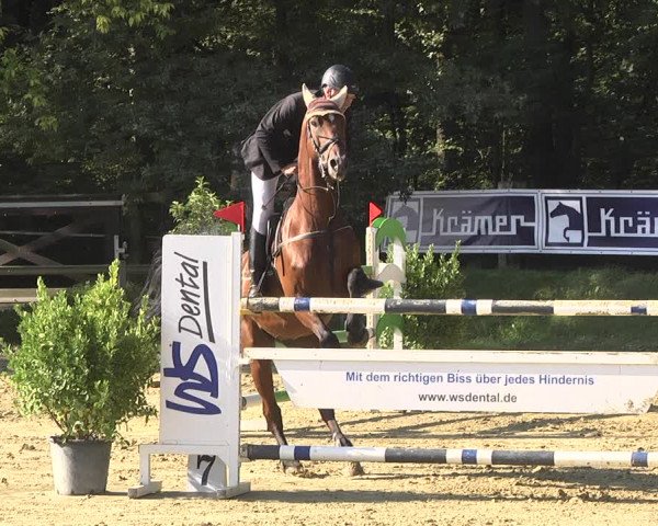 Reitturnier Walldorf/Winterheck 2019