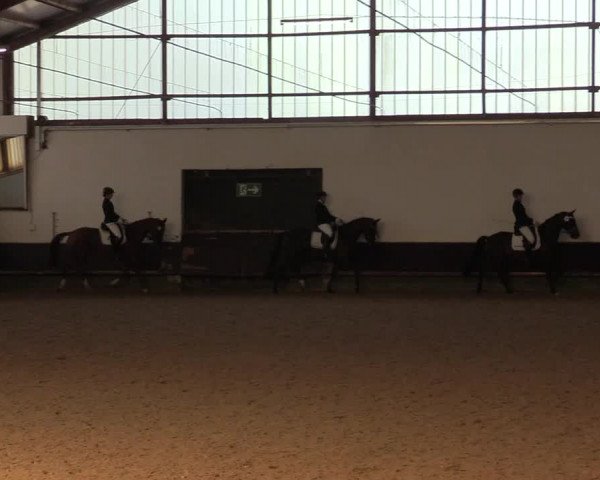 Reitturnier Albersloh 2019
