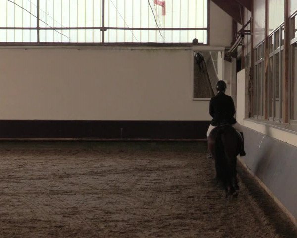 Reitturnier Albersloh 2019