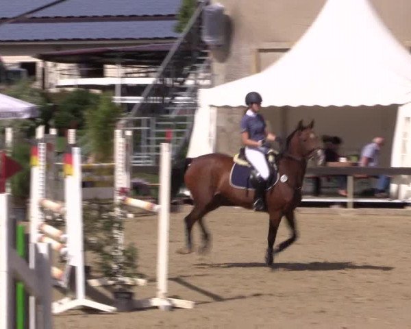 Reitturnier Buchenhof-Ibbenbüren 2019