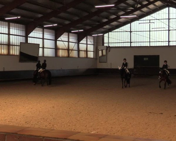 Reitturnier Albersloh 2019