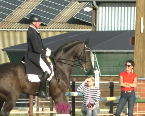 Reitturnier Swisttal-Miel 2019
