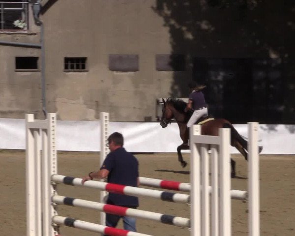 Reitturnier Buchenhof-Ibbenbüren 2019