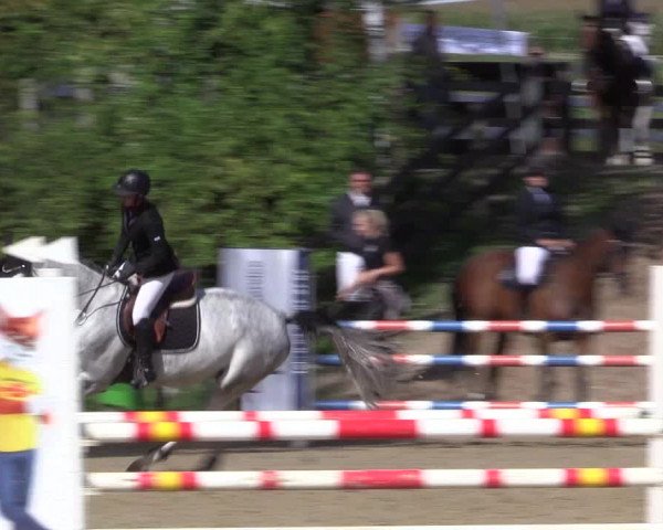 Reitturnier Buchenhof-Ibbenbüren 2019