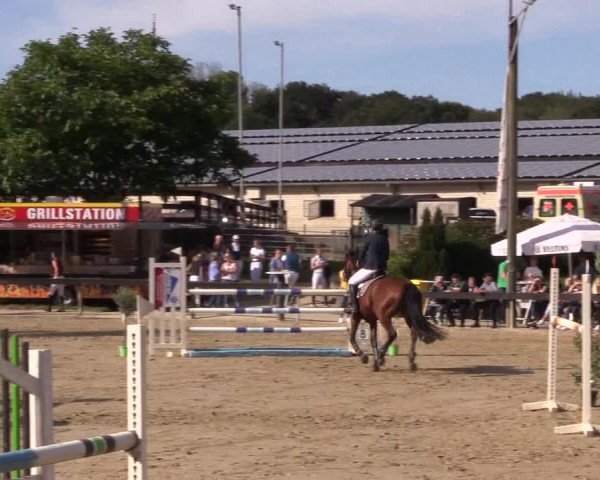 Reitturnier Buchenhof-Ibbenbüren 2019