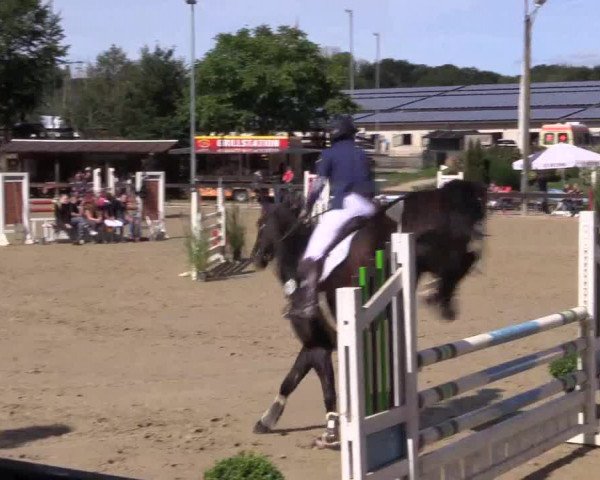 Reitturnier Buchenhof-Ibbenbüren 2019