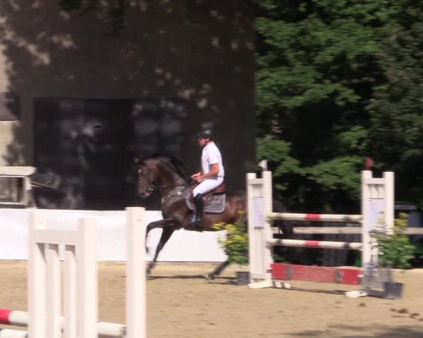 Reitturnier Buchenhof-Ibbenbüren 2019