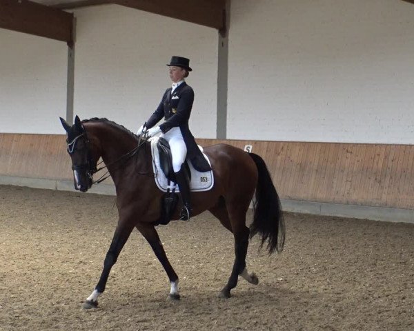 Reitturnier Gut Hohenkamp / Dorsten 2019