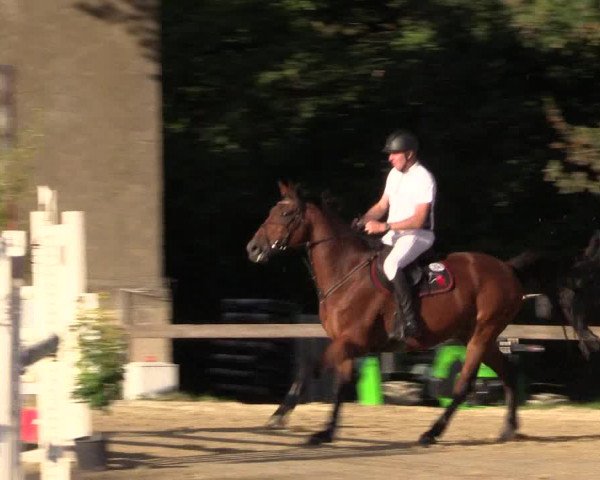 Reitturnier Buchenhof-Ibbenbüren 2019