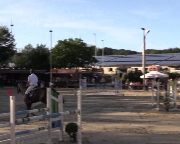 Reitturnier Buchenhof-Ibbenbüren 2019