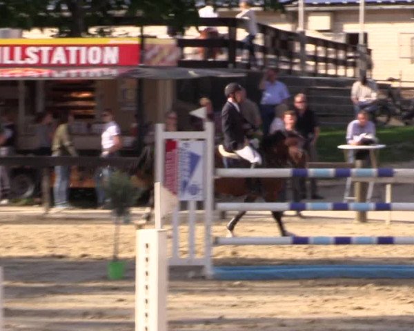 Reitturnier Buchenhof-Ibbenbüren 2019
