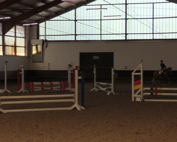 Reitturnier Albersloh 2019