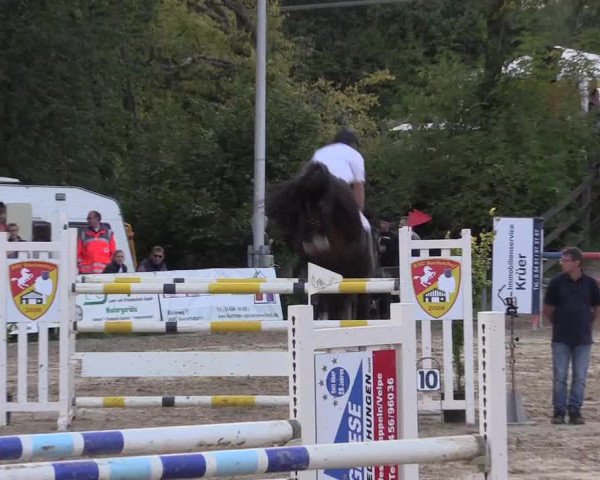 Reitturnier Buchenhof-Ibbenbüren 2019