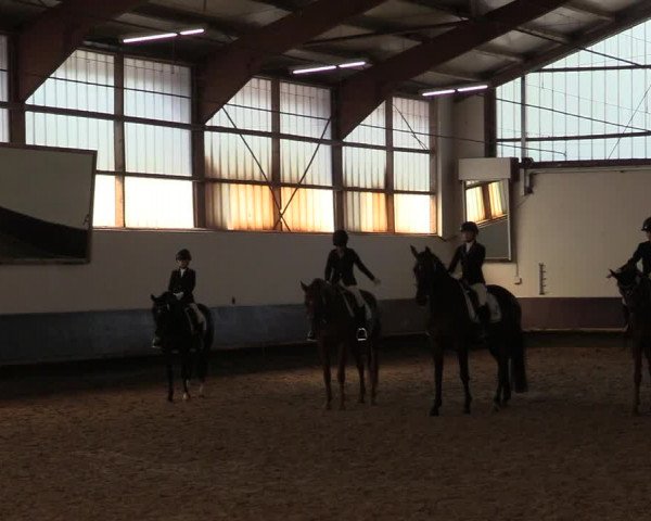 Reitturnier Albersloh 2019