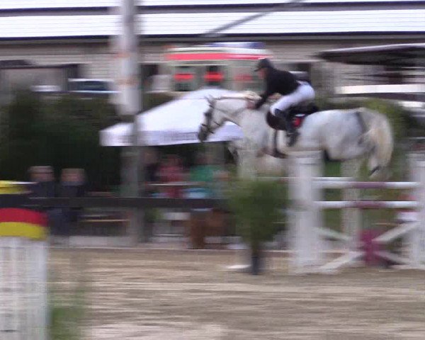 Reitturnier Buchenhof-Ibbenbüren 2019