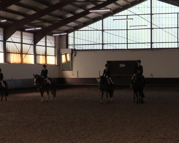 Reitturnier Albersloh 2019