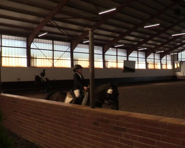 Reitturnier Albersloh 2019