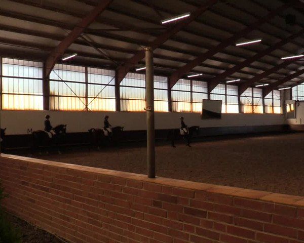 Reitturnier Albersloh 2019