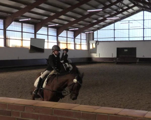 Reitturnier Albersloh 2019