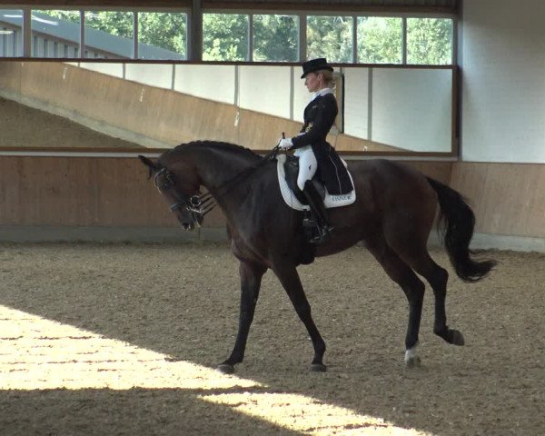 Reitturnier Gut Hohenkamp / Dorsten 2019