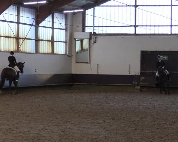 Reitturnier Albersloh 2019