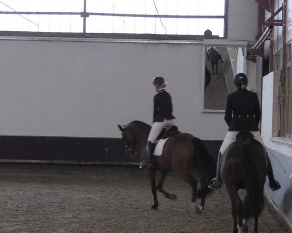 Reitturnier Albersloh 2019