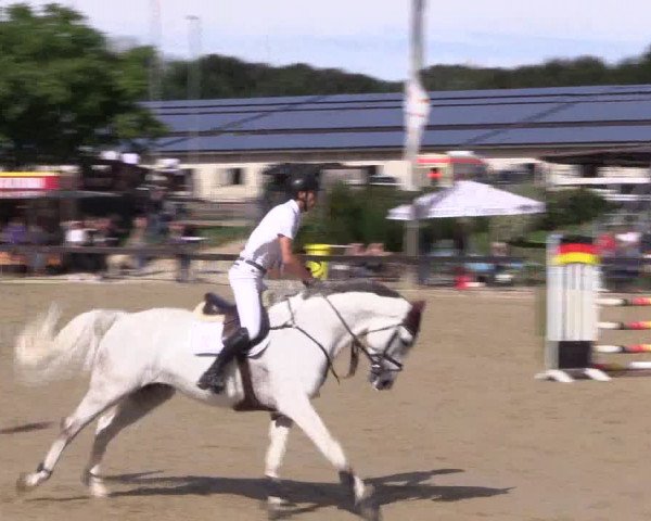 Reitturnier Buchenhof-Ibbenbüren 2019