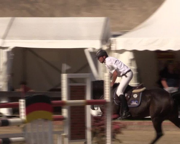 Reitturnier Buchenhof-Ibbenbüren 2019