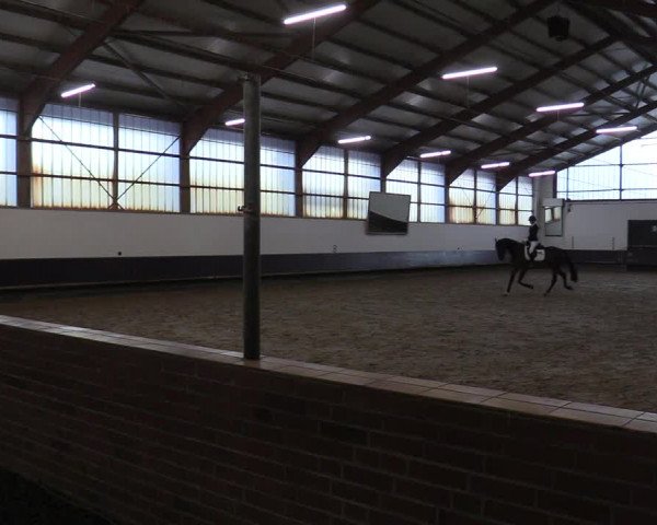 Reitturnier Albersloh 2019