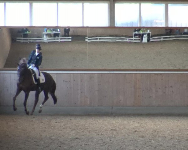 Reitturnier Gut Hohenkamp / Dorsten 2019