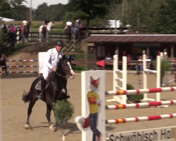 Reitturnier Buchenhof-Ibbenbüren 2019