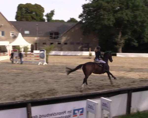 Reitturnier Buchenhof-Ibbenbüren 2019