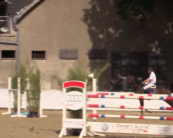 Reitturnier Buchenhof-Ibbenbüren 2019