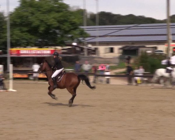 Reitturnier Buchenhof-Ibbenbüren 2019