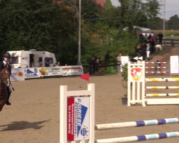 Reitturnier Buchenhof-Ibbenbüren 2019