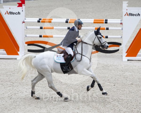 stallion Milano de Flore (Selle Français, 2000, from Carthago)